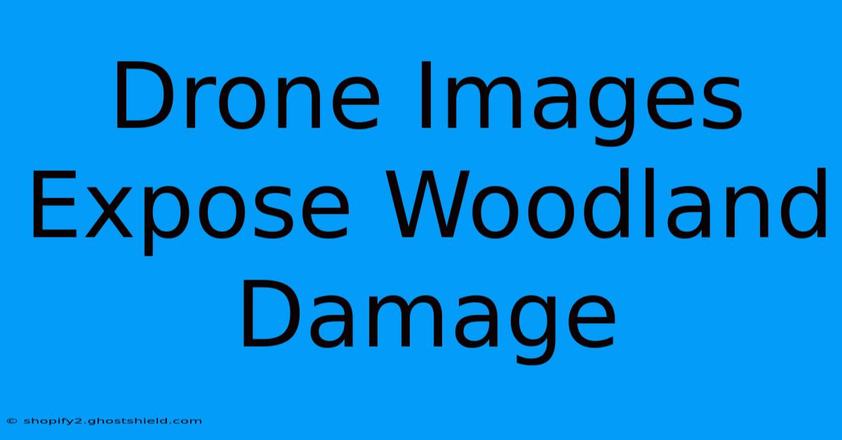 Drone Images Expose Woodland Damage