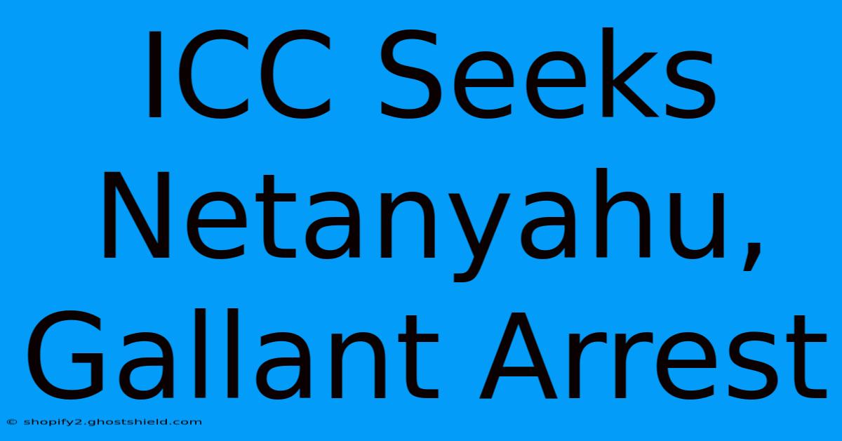 ICC Seeks Netanyahu, Gallant Arrest