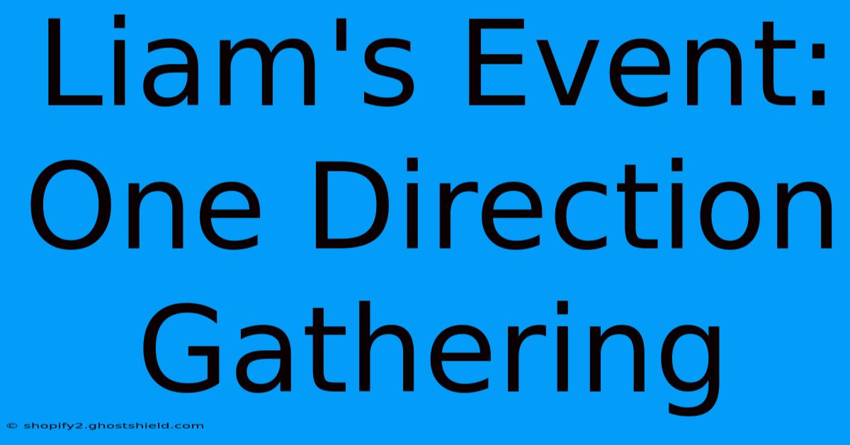 Liam's Event: One Direction Gathering