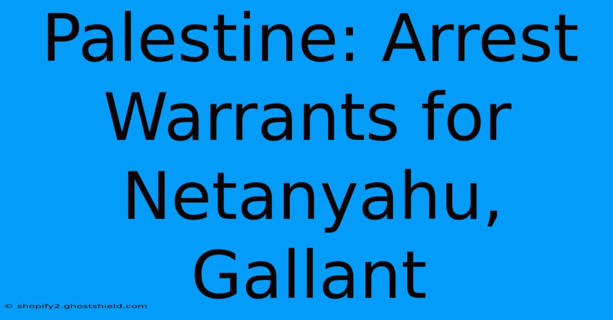 Palestine: Arrest Warrants For Netanyahu, Gallant