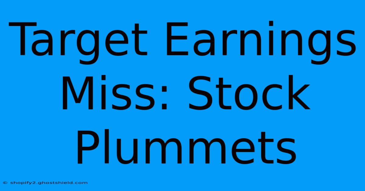 Target Earnings Miss: Stock Plummets