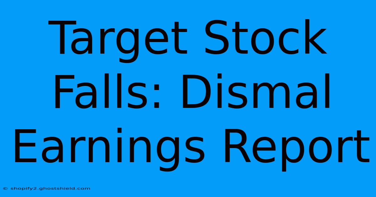 Target Stock Falls: Dismal Earnings Report