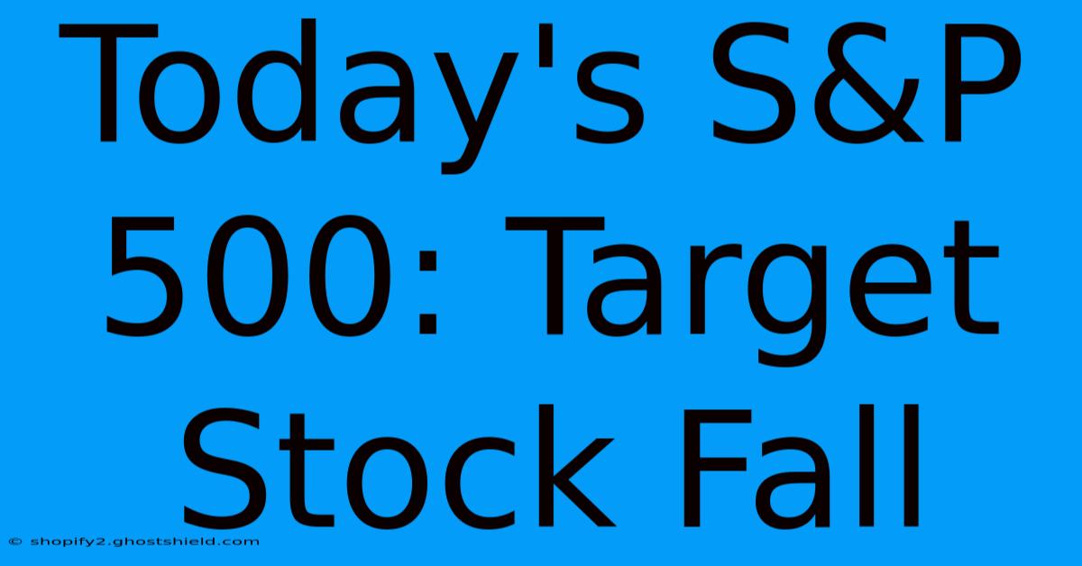 Today's S&P 500: Target Stock Fall