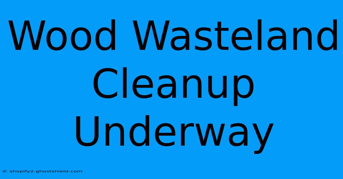 Wood Wasteland Cleanup Underway