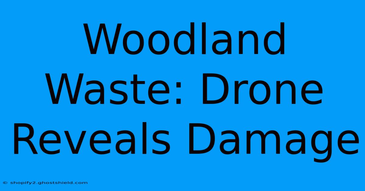 Woodland Waste: Drone Reveals Damage